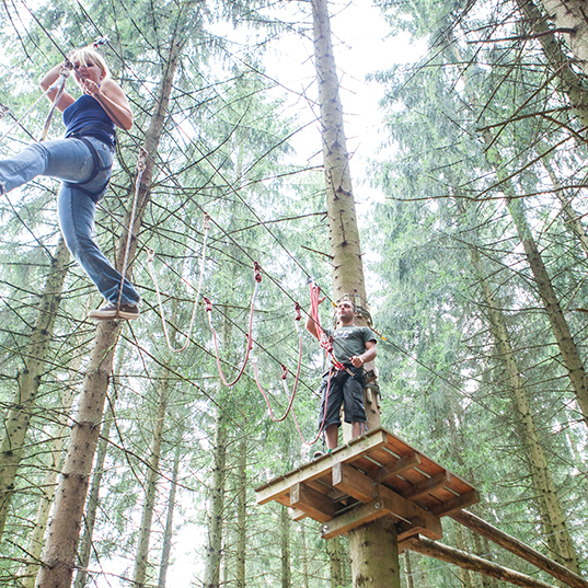 Climbing and Forest Experience in Kell am See